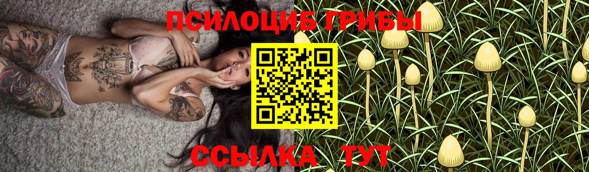 Гашиш  Вход с VPN  Канабис  Лесозаводск  COCAIN  Купить наркотик  Меф МЯУ МЯУ кристаллы 