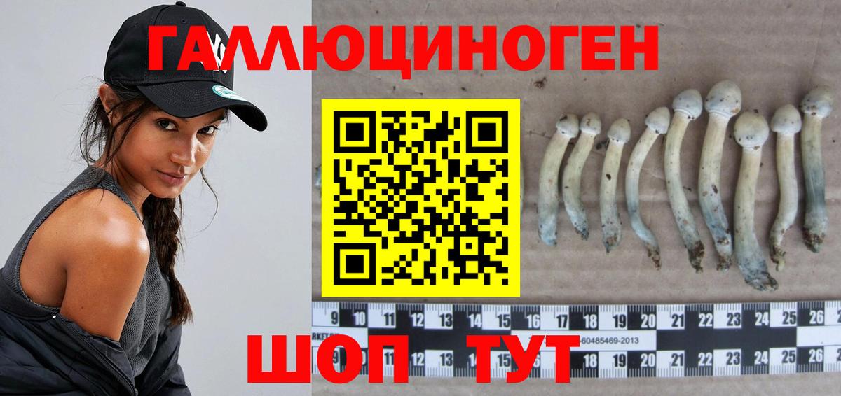 Лесозаводск  Галлюциногенные грибы Psilocybine cubensis  Вход с VPN  Галлюциногенные грибы Psilocybe 